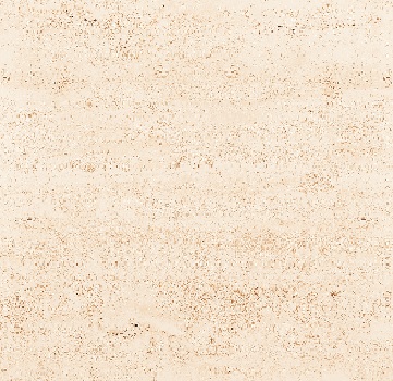 TRAVERTINO BEIGE tile face 2